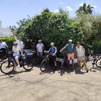Holiday & Seasonal Tours