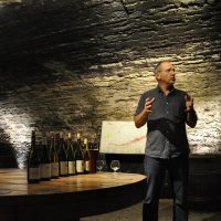 Private & Custom Tours