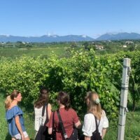 Private & Custom Tours