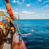 Sailing Trips