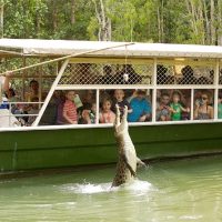 Tours & Sightseeing