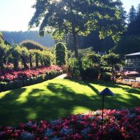 Half-day Tours