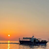 Private & Custom Tours