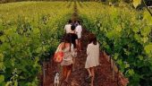 Wine & food best experience.