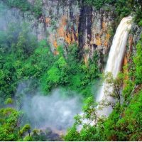 Half-day Tours