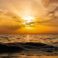 Sailing Trips
