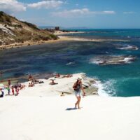 Bus & Minivan Tours