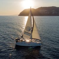 Dolphin & Whale Watching