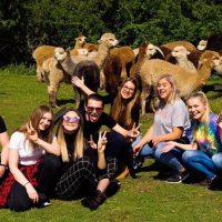 Holiday & Seasonal Tours