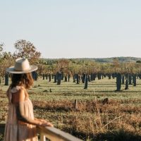 Full-day Tours