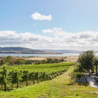 Wine Tasting & Winery Tours