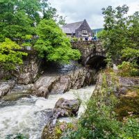 Cultural Tours