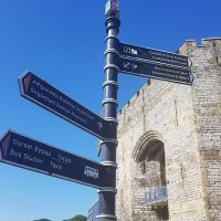 Bus & Minivan Tours