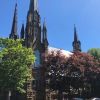 Cultural & Theme Tours