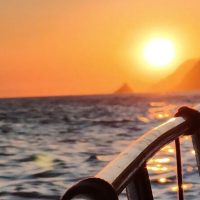 Private Sightseeing Tours