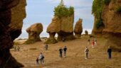 Hopewell Rocks is well worth the trip!