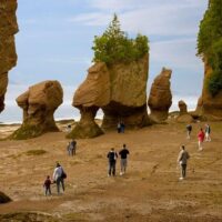 Cultural & Theme Tours