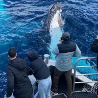 Sustainable Tours