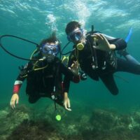 Scuba Diving