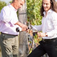 Wine Tasting & Winery Tours