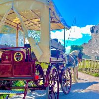 Horse Carriage Rides