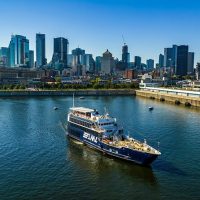 Day Cruises
