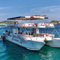 Day Cruises