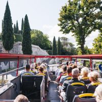 Transfers & Ground Transport