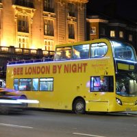 Night Tours