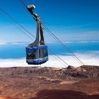 Half-day Tours