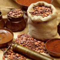 Chocolate Tours