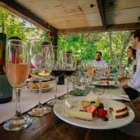 Wine Tasting & Winery Tours