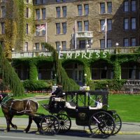 Horse Carriage Rides