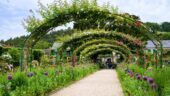 Monet’s World