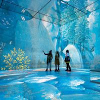 Museum Tickets & Passes