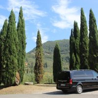 Wine Tasting & Winery Tours