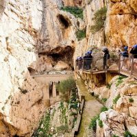 Day Trips & Excursions