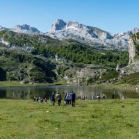 Day Trips & Excursions