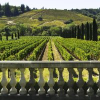 Wine Tasting & Winery Tours