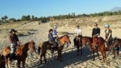 Horse riding on the beach