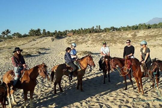 Valentine's Day in Todos Santos