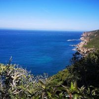 Day Trips & Excursions