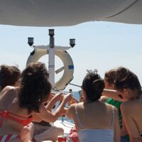 Day Cruises