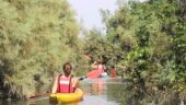 Great kayak out in nature