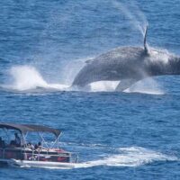 Kid Friendly Tours & Activities