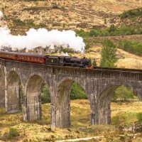 Cultural & Theme Tours
