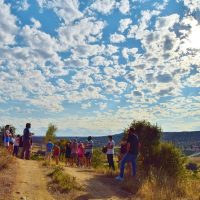 Cultural Tours