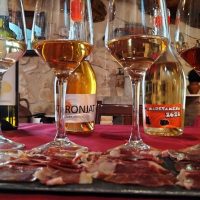 Wine Tasting & Winery Tours
