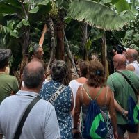 Plantation Tours