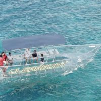 Glass Bottom Boat Tours